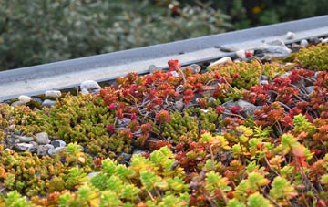 the cost of Faifley green roof installation