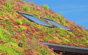 Faifley living roof systems