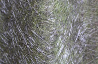 Faifley fibreglass roof work